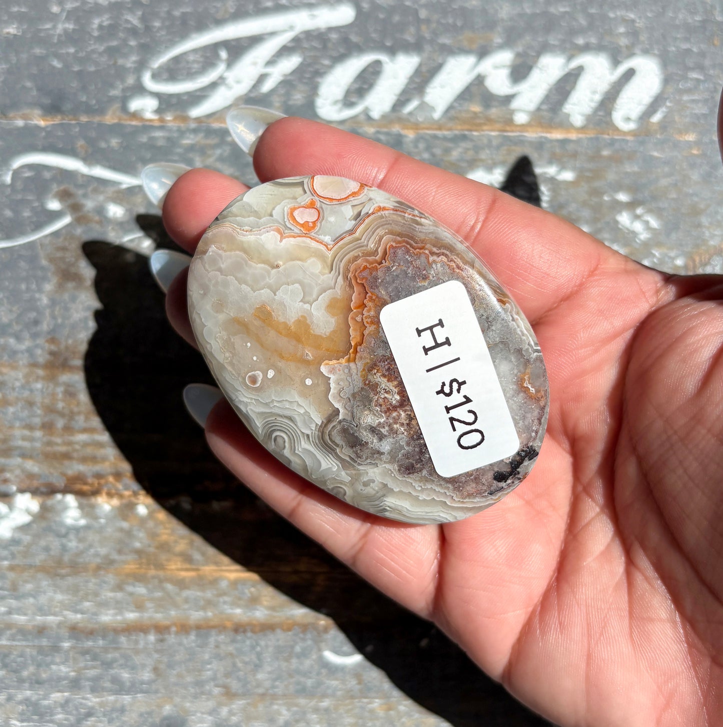 Gorgeous High Quality Crazy Lace Agate Palm Stone from Mexico | H
