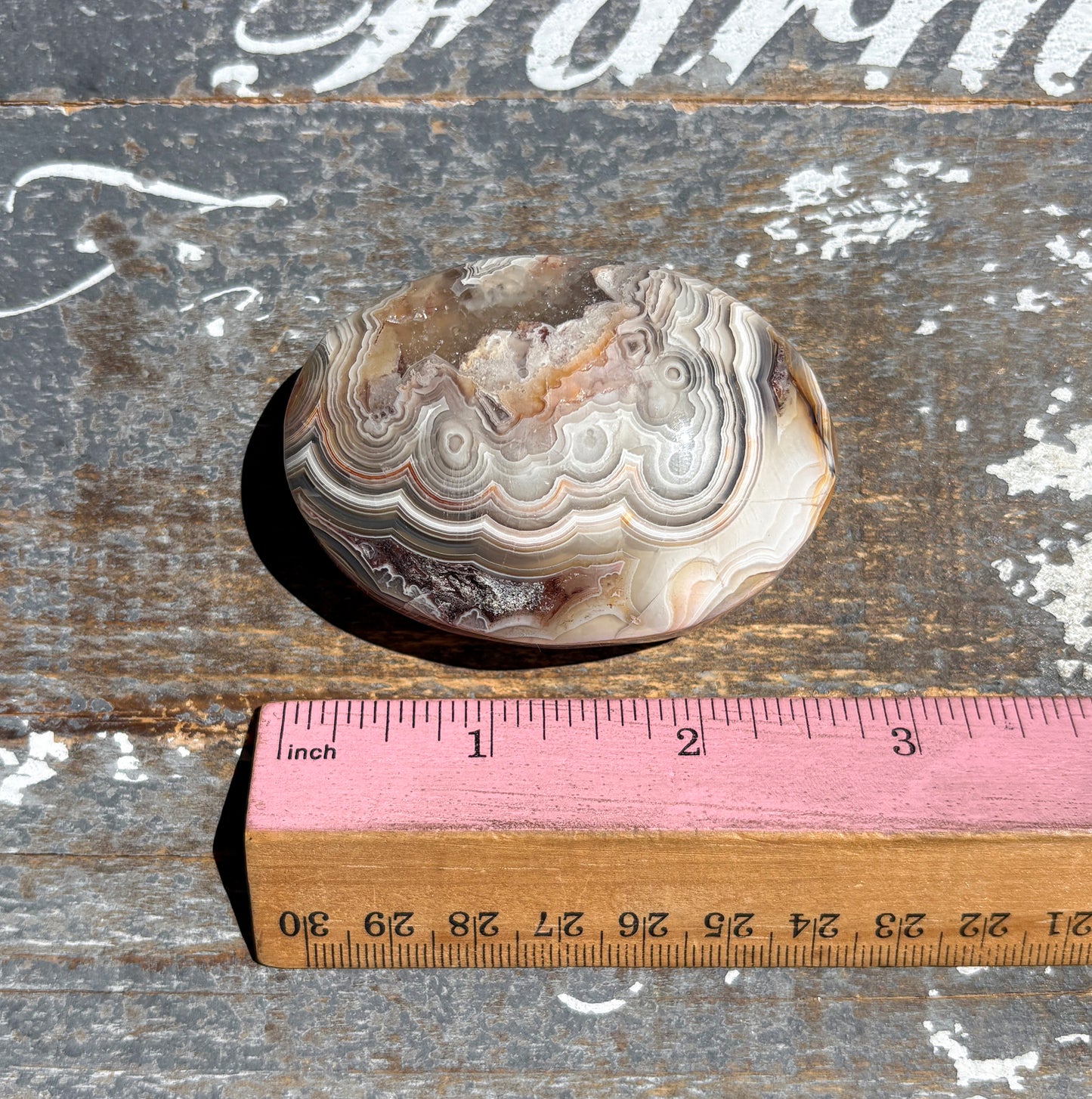Gorgeous High Quality Crazy Lace Agate Palm Stone from Mexico | H