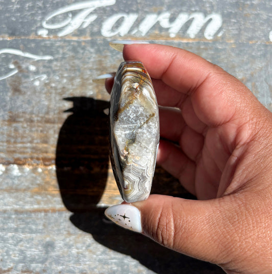 Gorgeous High Quality Crazy Lace Agate Heart from Mexico | K