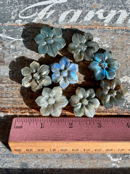 One (1) Gorgeous Labradorite Flower