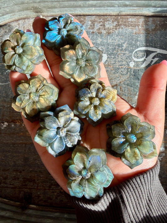 One (1) Gorgeous Labradorite Double Flower