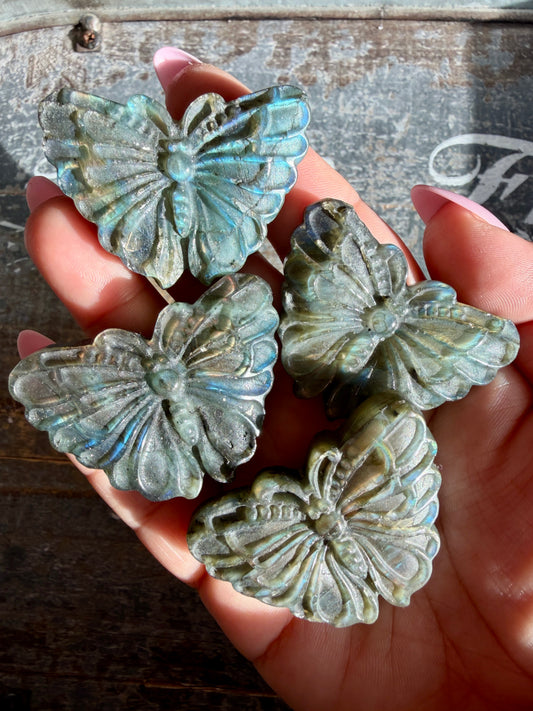 One (1) Gorgeous Labradorite Butterfly