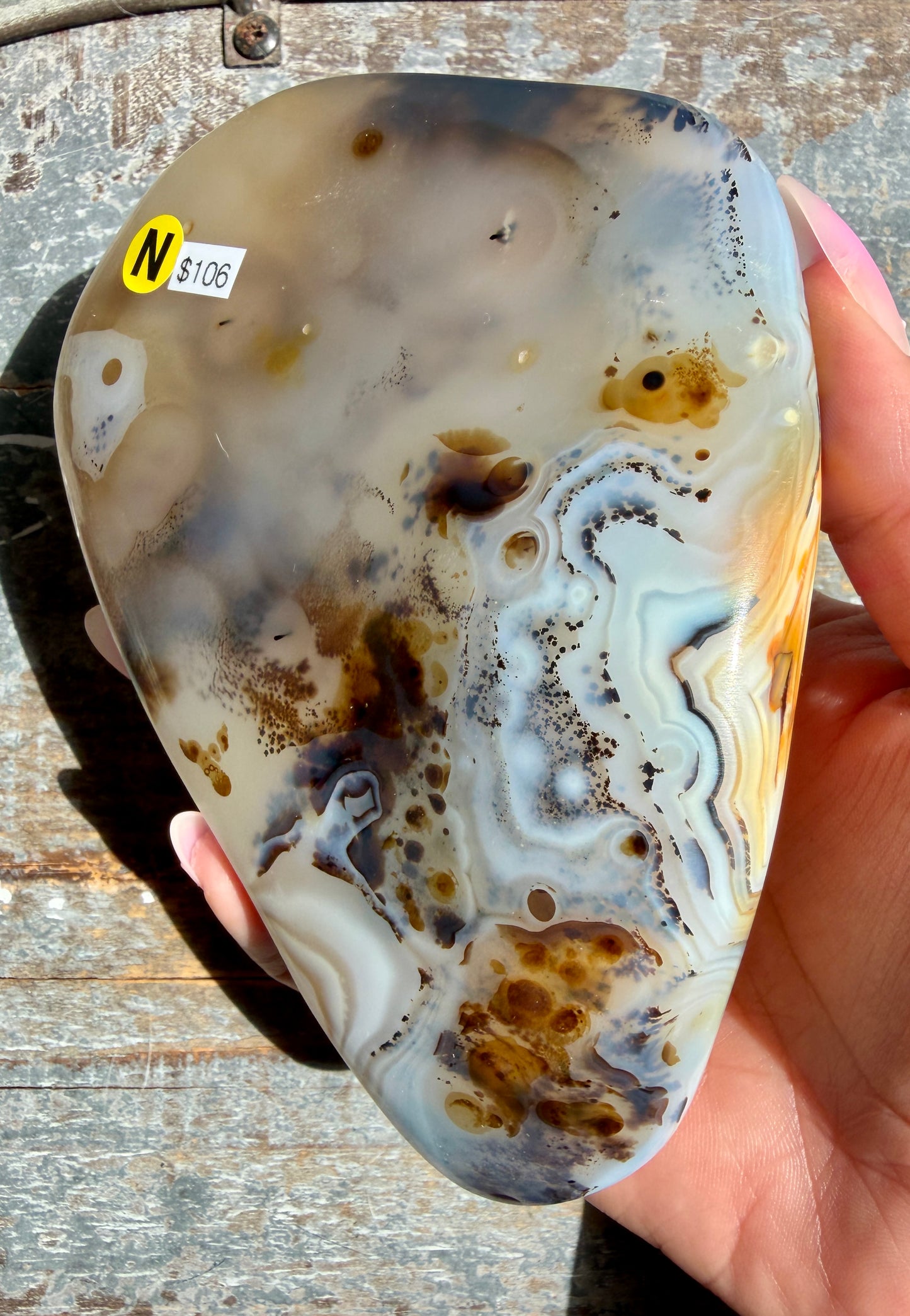 Gorgeous Dendritic Agate Freeform | Opt N