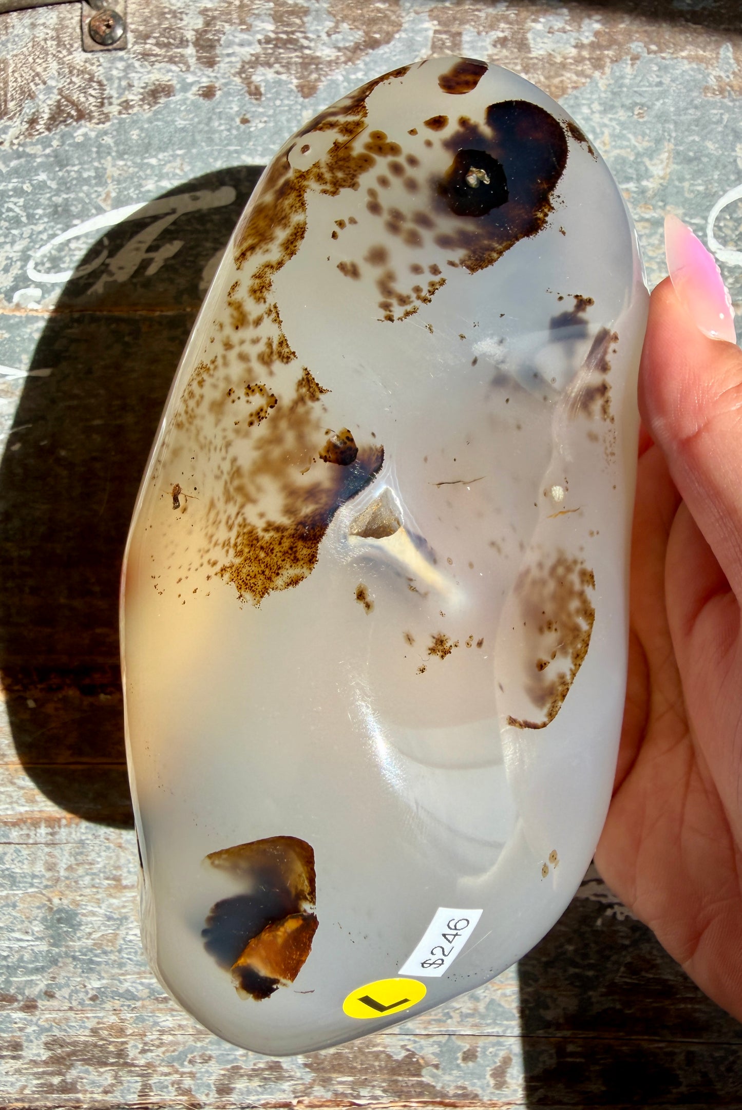 Gorgeous Dendritic Agate Freeform | Opt L
