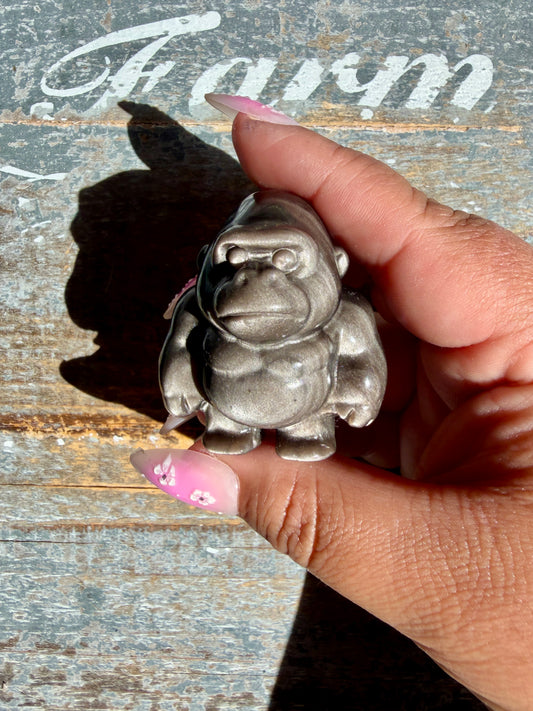 Adorable Silver Sheen Gorilla | Opt 84