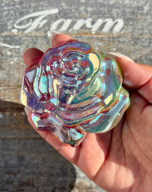 Gorgeous Aura Rose | Opt B