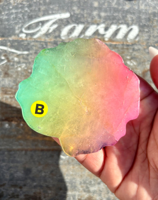 Gorgeous Aura Rose | Opt B