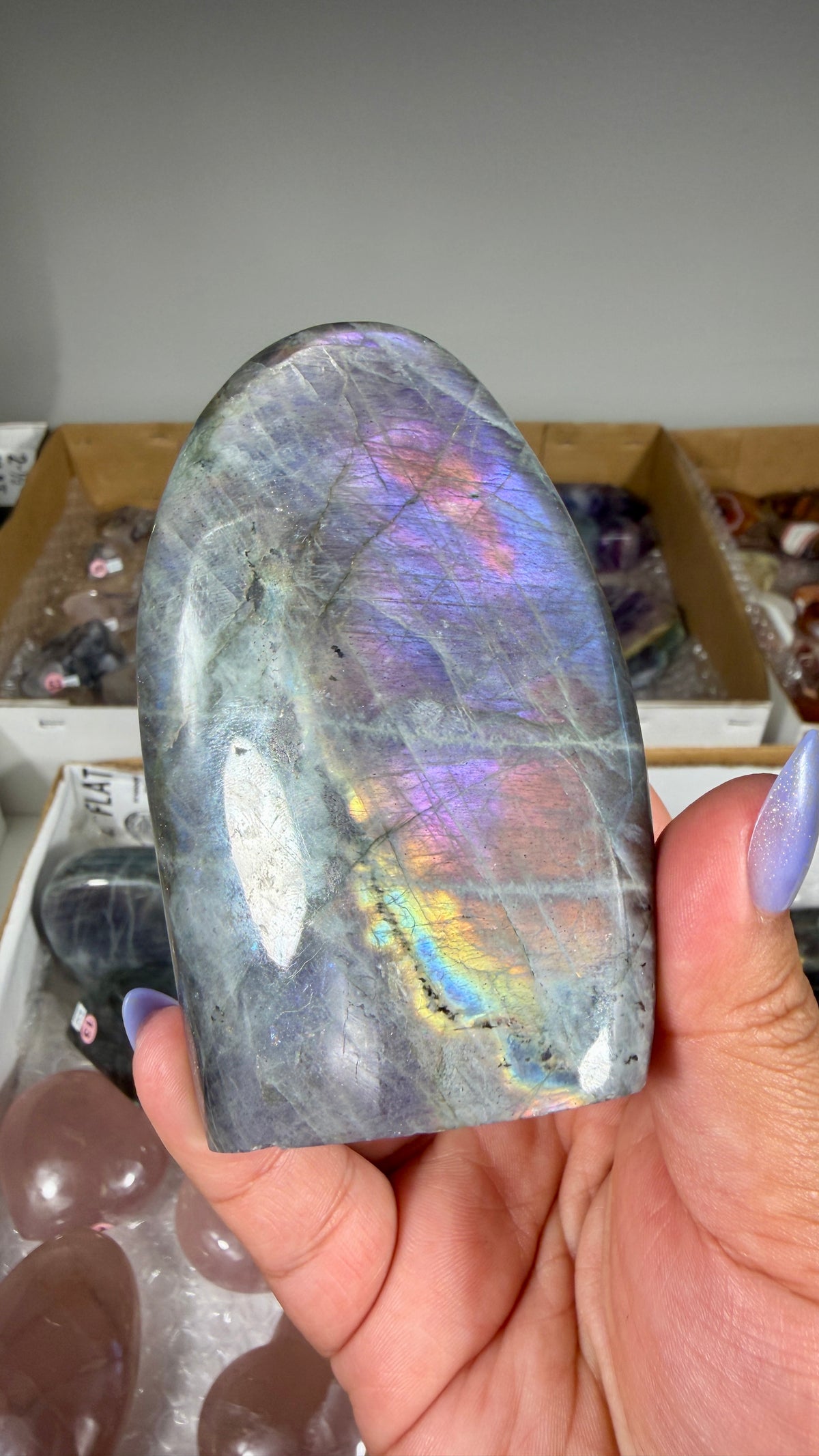 Gorgeous Labradorite Freeform | Madagascar | Opt 11
