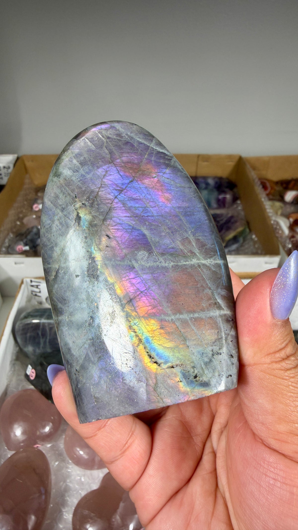 Gorgeous Labradorite Freeform | Madagascar | Opt 11