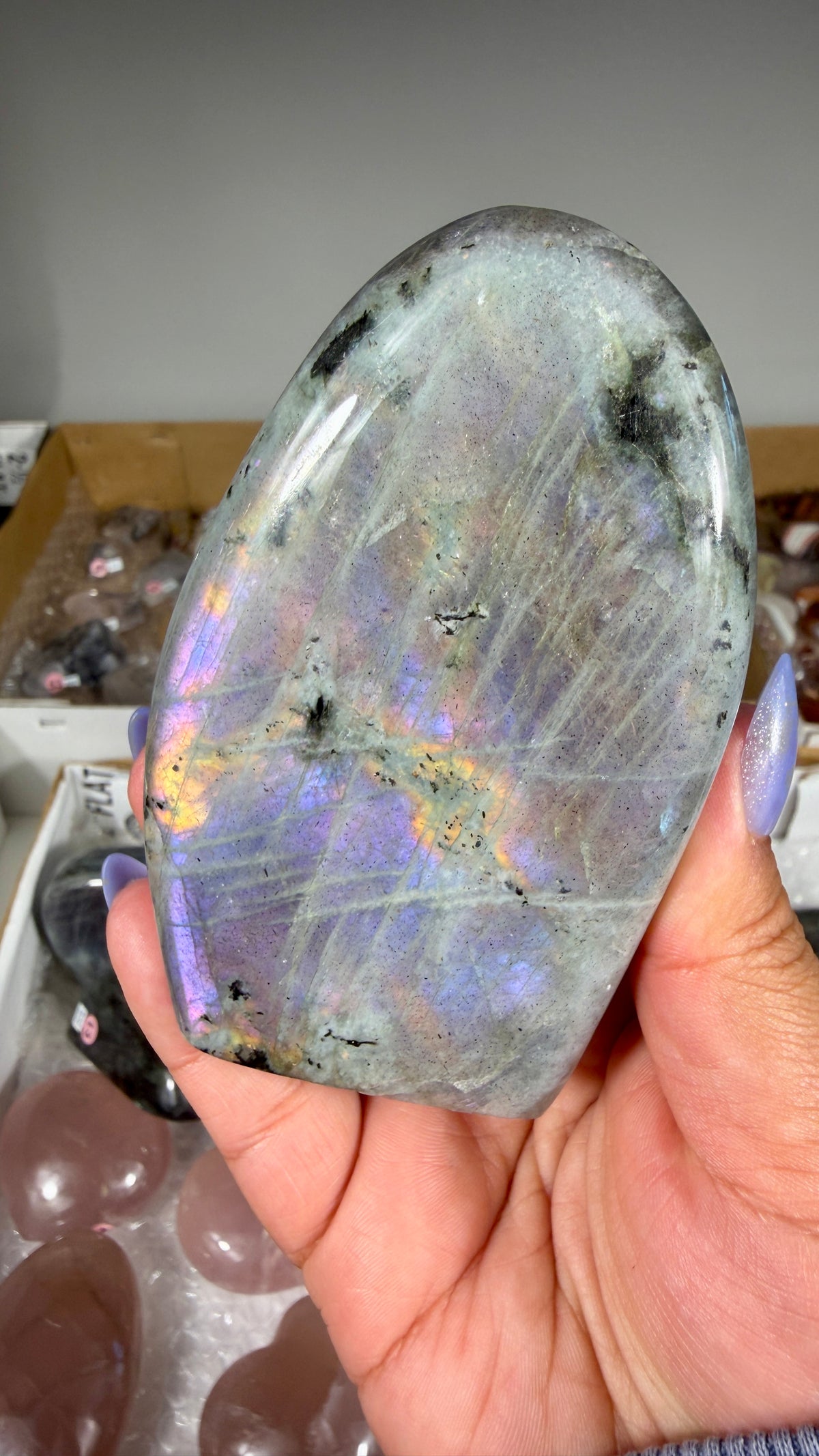 Gorgeous Labradorite Freeform | Madagascar | Opt 11