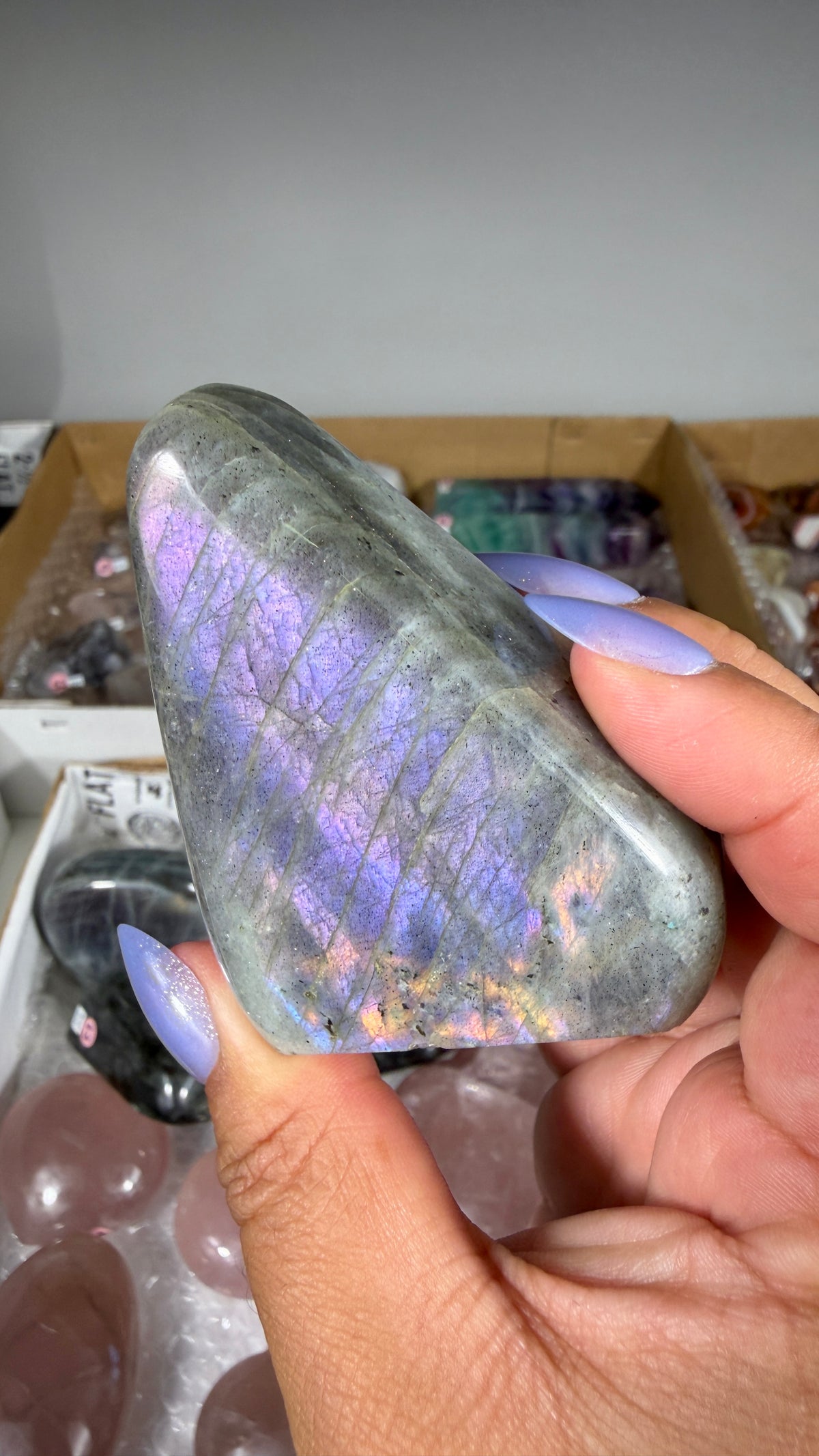 Gorgeous Labradorite Freeform | Madagascar | Opt 6