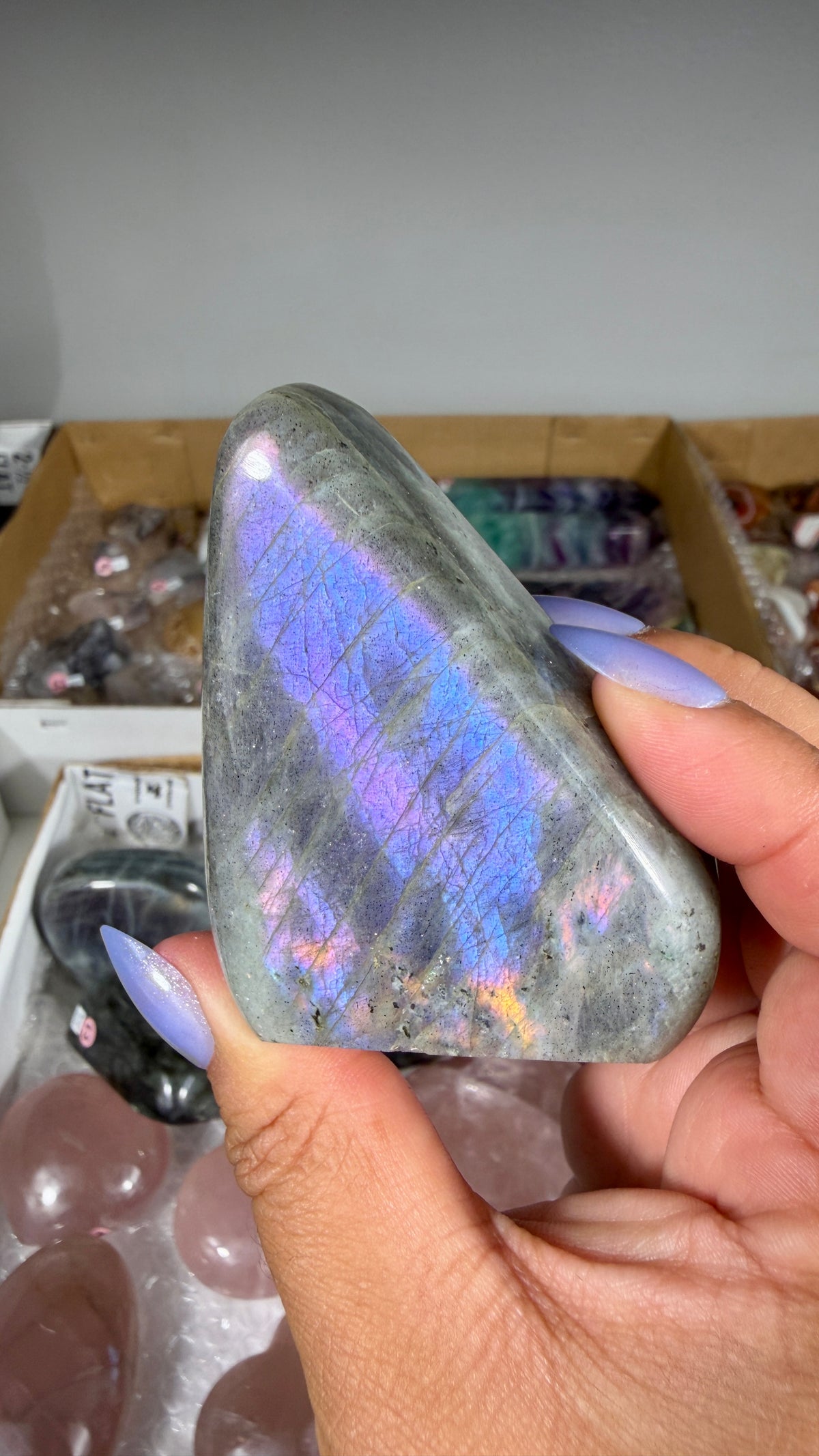 Gorgeous Labradorite Freeform | Madagascar | Opt 6