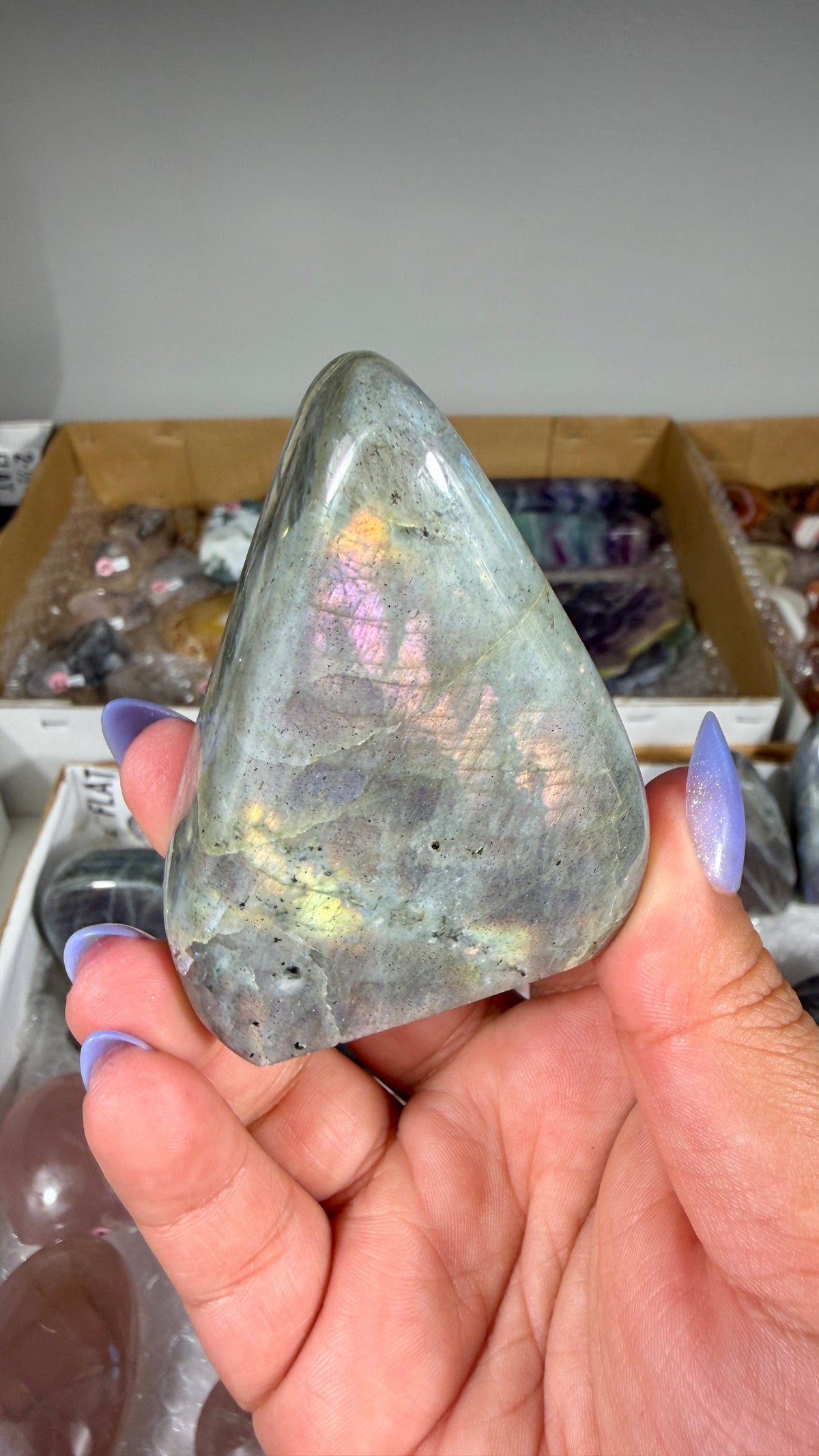 Gorgeous Labradorite Freeform | Madagascar | Opt 6