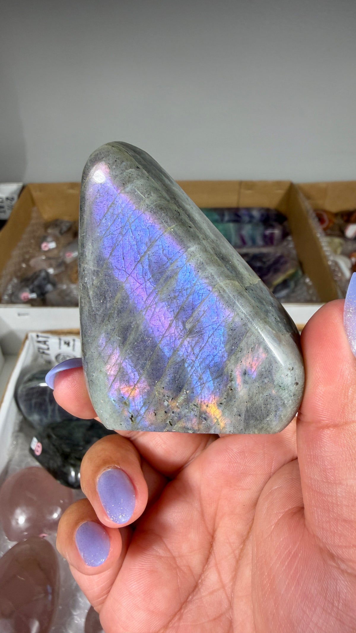 Gorgeous Labradorite Freeform | Madagascar | Opt 6