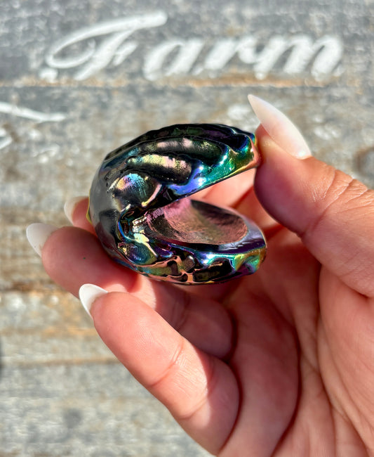 Gorgeous Aura Clam | Opt H