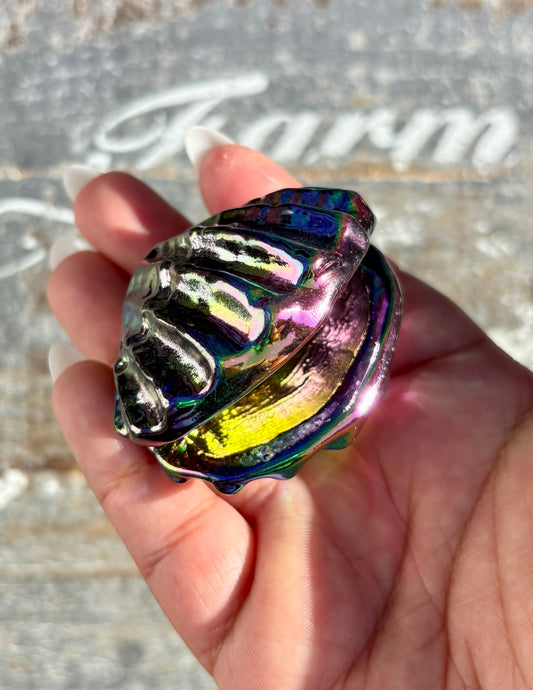 Gorgeous Aura Clam | Opt I