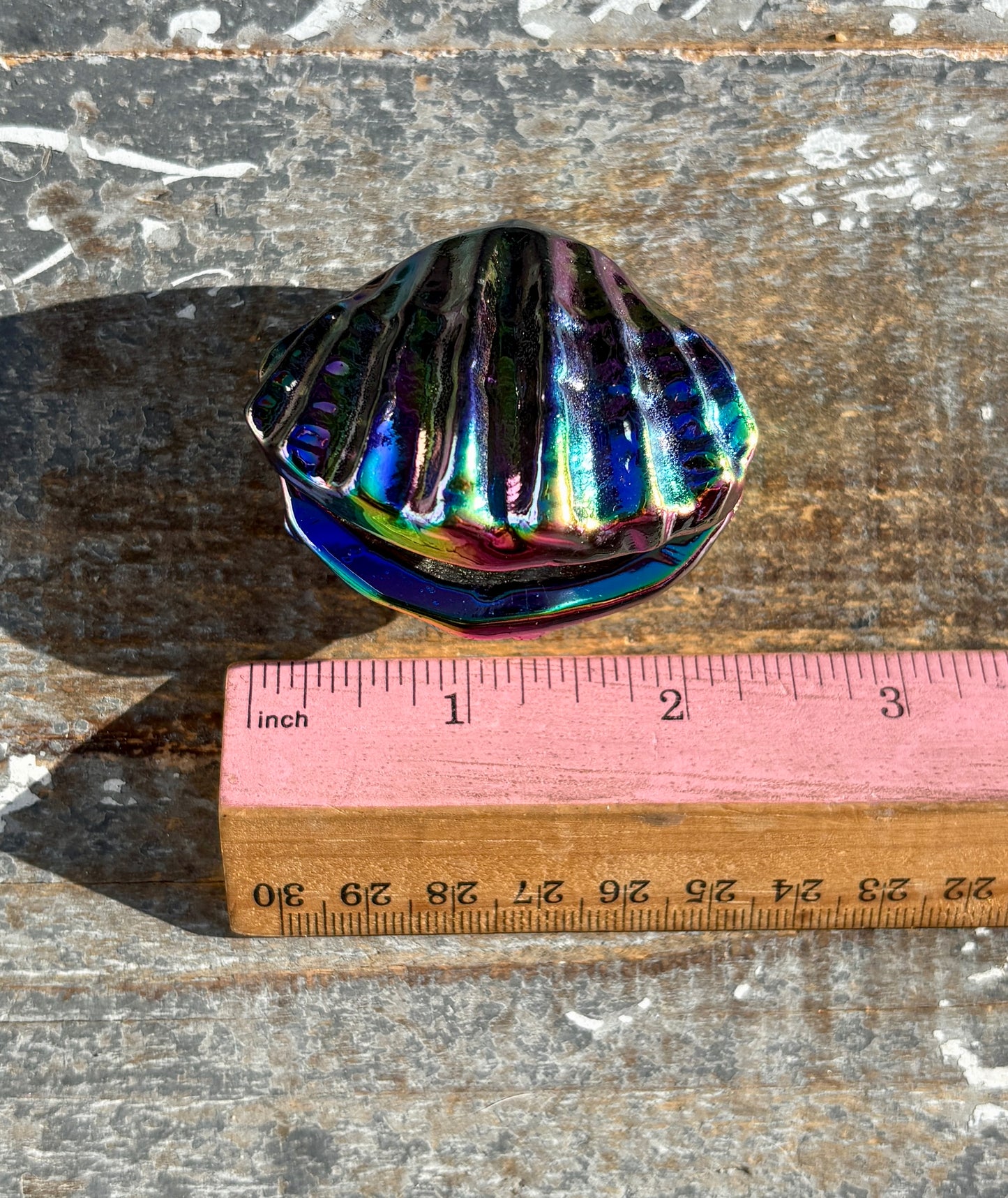 Gorgeous Aura Clam | Opt I
