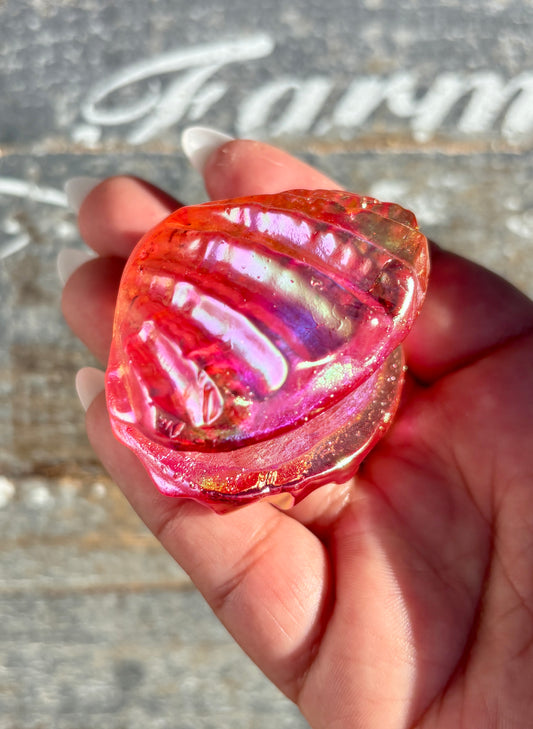 Gorgeous Aura Clam | Opt K