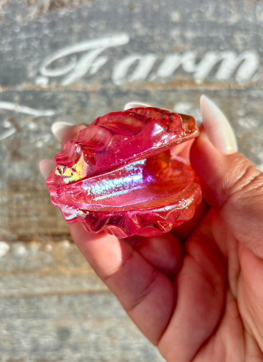 Gorgeous Aura Clam | Opt K