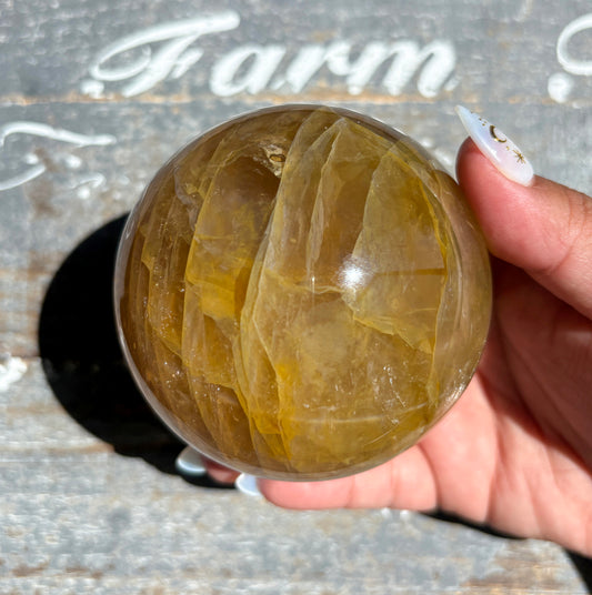 Gorgeous High Quality Golden Healer Sphere with Star Flash | Opt E