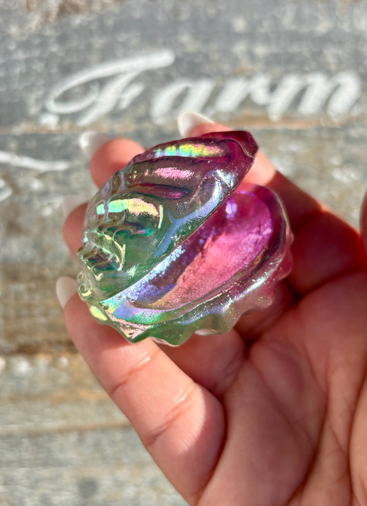 Gorgeous Aura Clam | Opt L