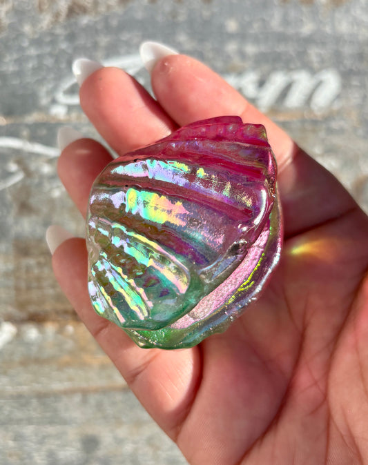 Gorgeous Aura Clam | Opt L