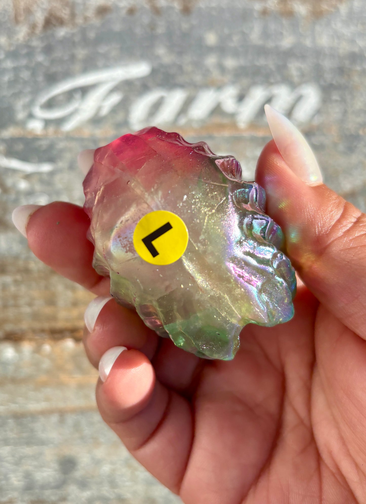 Gorgeous Aura Clam | Opt L