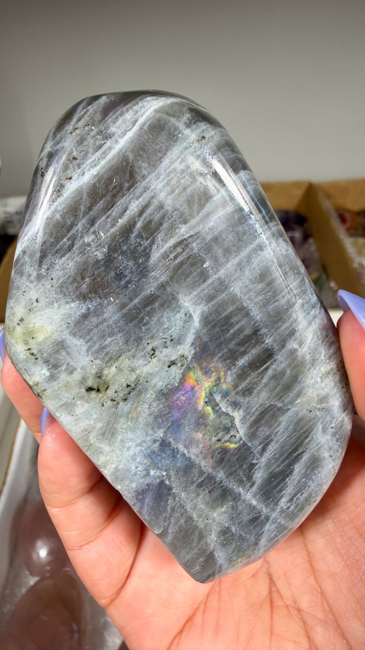 Gorgeous Labradorite Freeform | Madagascar | Opt 8