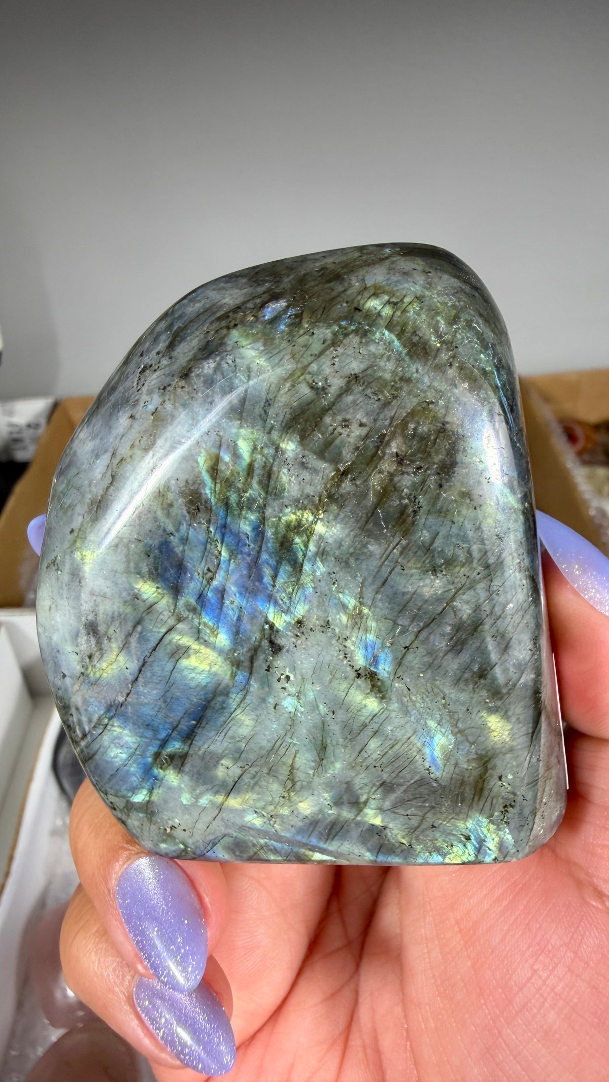 Gorgeous Labradorite Freeform | Madagascar | Opt 13