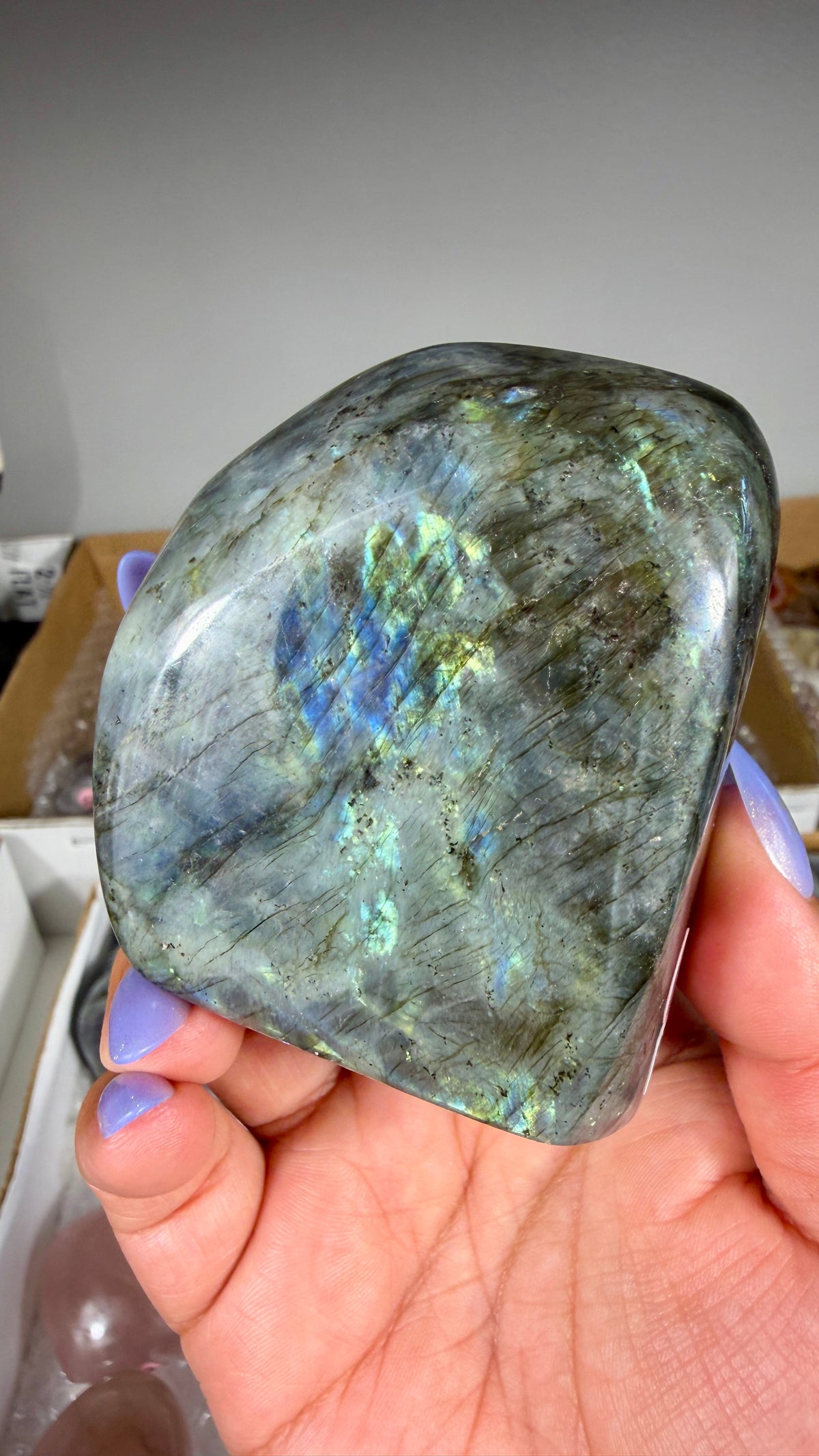 Gorgeous Labradorite Freeform | Madagascar | Opt 13