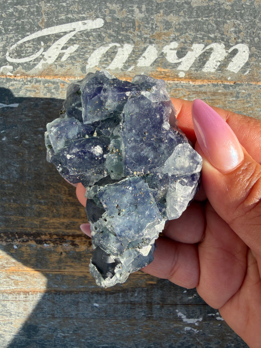 Gorgeous Cubic Dark Blue/Purple Fluorite Specimen coated in Pyrite | China | Opt 70