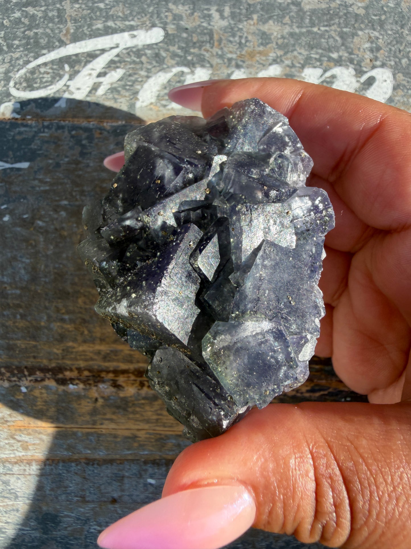 Gorgeous Cubic Dark Blue/Purple Fluorite Specimen coated in Pyrite | China | Opt 64