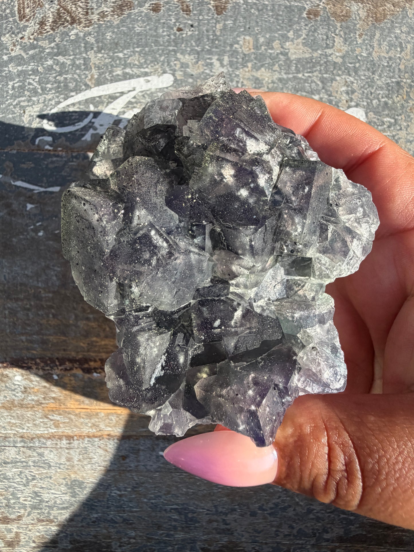 Gorgeous Cubic Dark Blue/Purple Fluorite Specimen coated in Pyrite | China | Opt 59