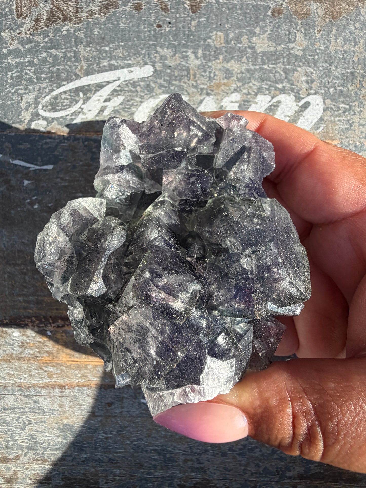 Gorgeous Cubic Dark Blue/Purple Fluorite Specimen coated in Pyrite | China | Opt 59