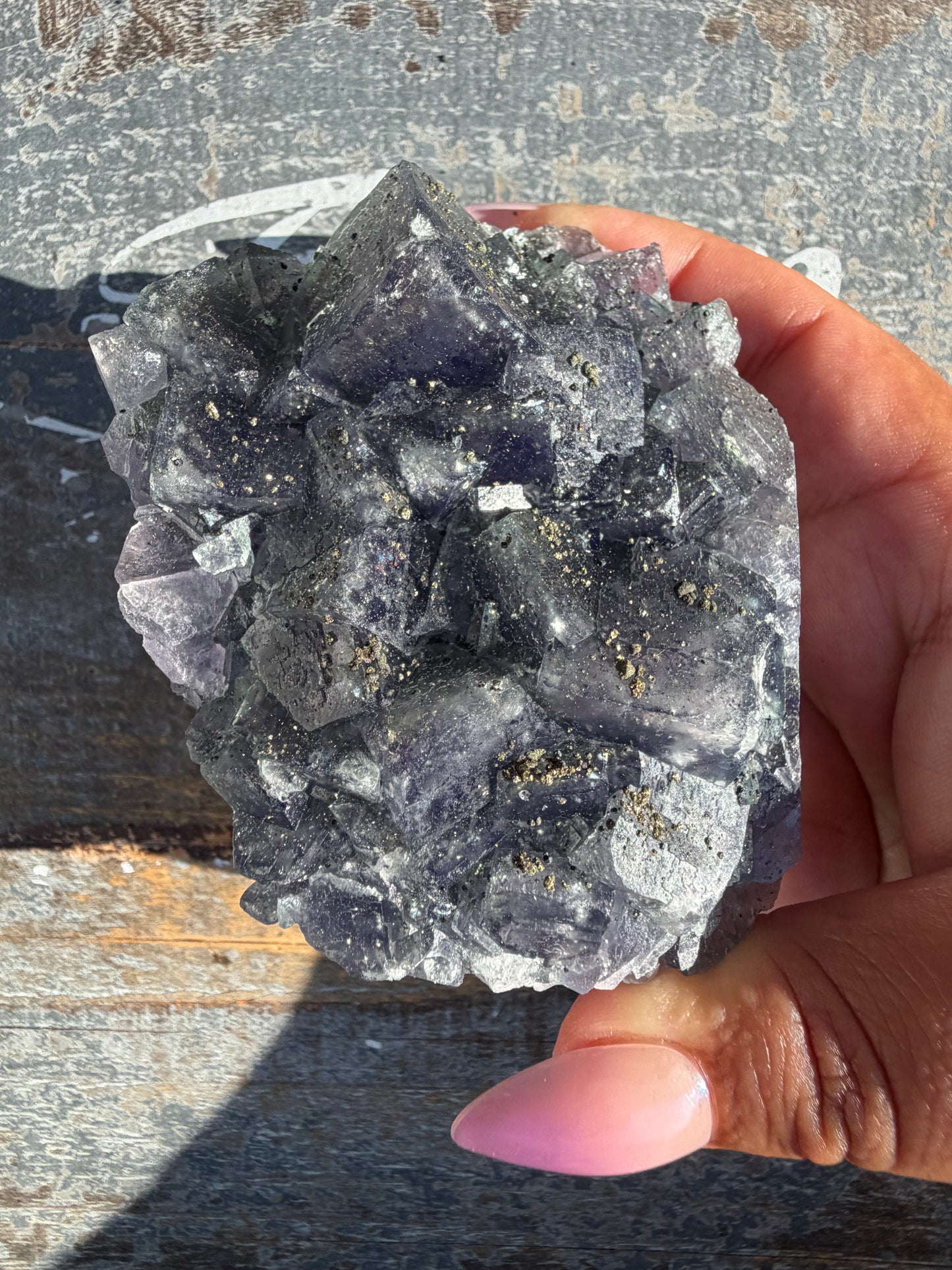 Gorgeous Cubic Dark Blue/Purple Fluorite Specimen coated in Pyrite | China | Opt 55