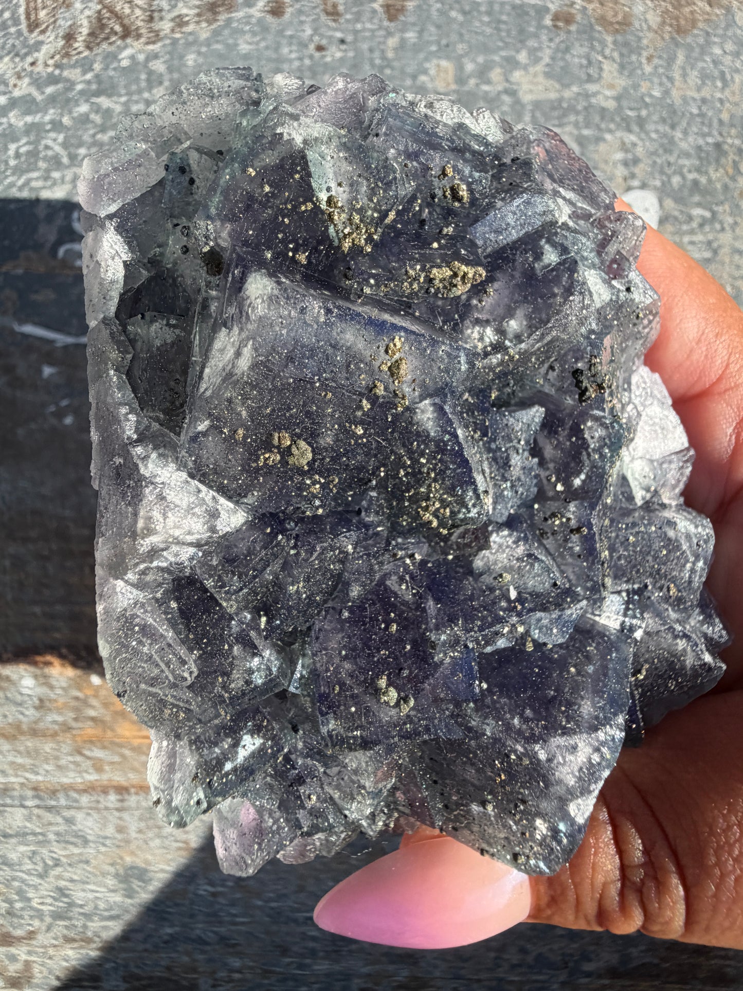 Gorgeous Cubic Dark Blue/Purple Fluorite Specimen coated in Pyrite | China | Opt 55
