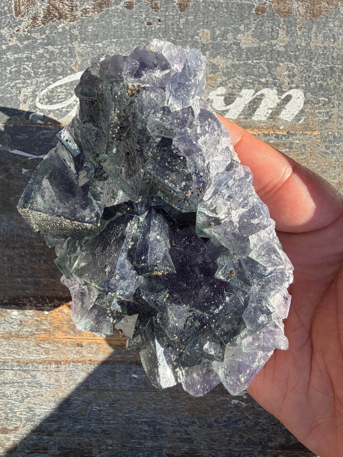 Gorgeous Cubic Dark Blue/Purple Fluorite Specimen coated in Pyrite | China | Opt 47