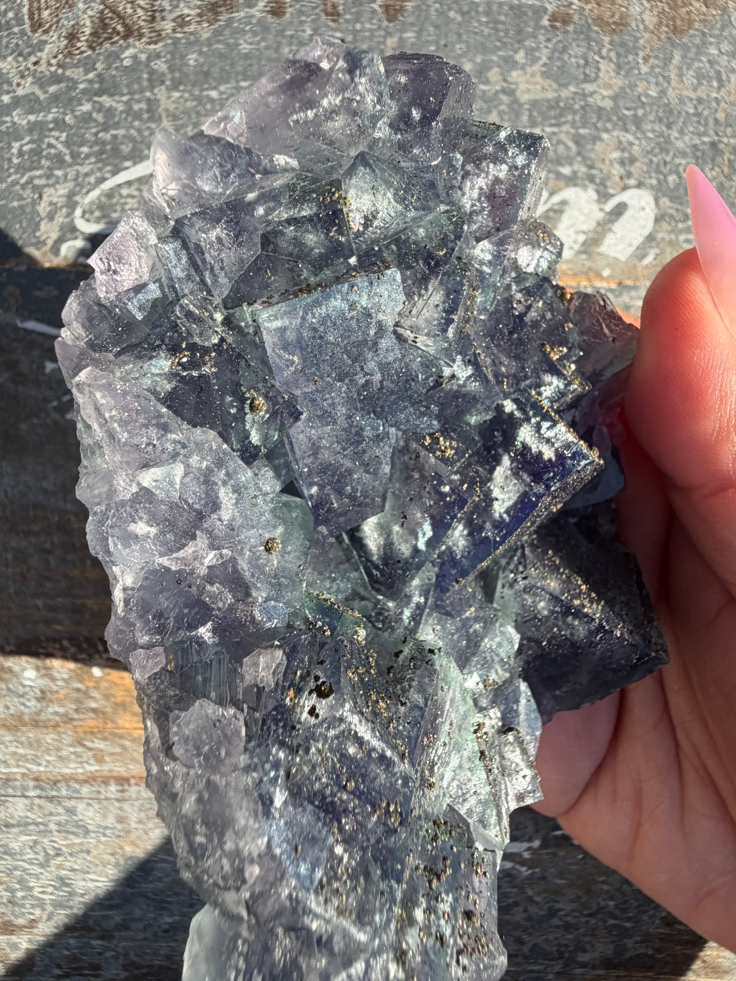 Gorgeous Cubic Dark Blue/Purple Fluorite Specimen coated in Pyrite | China | Opt 47