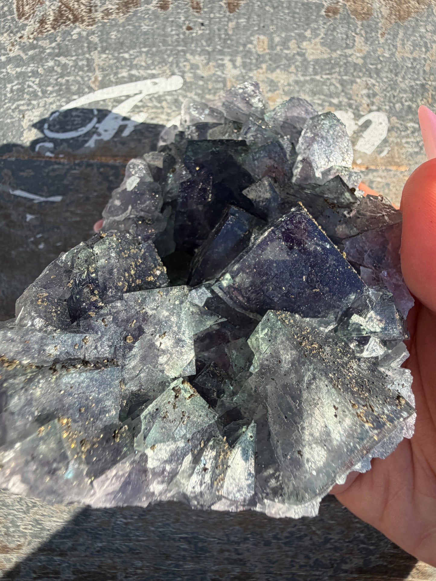 Gorgeous Cubic Dark Blue/Purple Fluorite Specimen coated in Pyrite | China | Opt 47