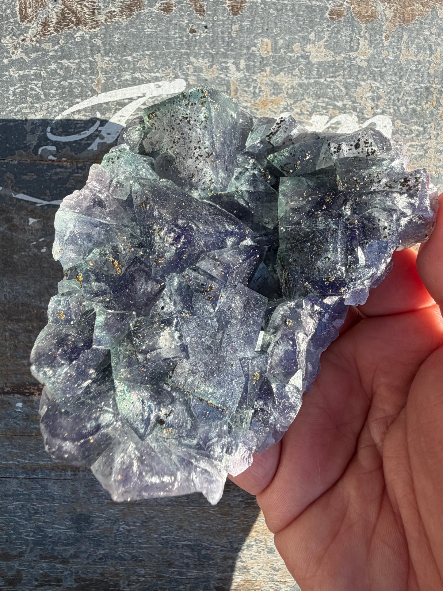 Gorgeous Cubic Dark Blue/Purple Fluorite Specimen coated in Pyrite | China | Opt 47