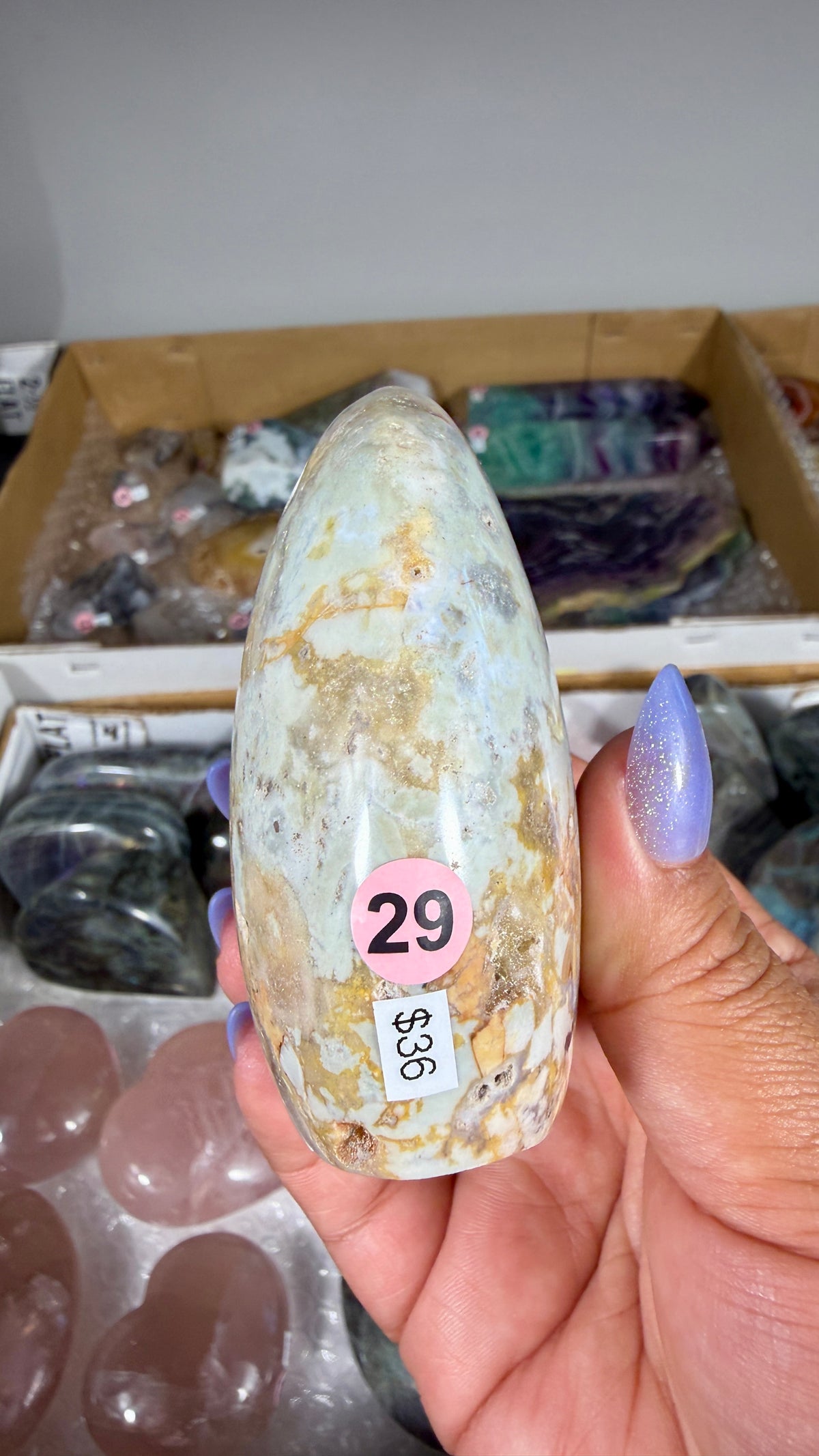 Gorgeous Ibis Jasper Freeform | Opt 29
