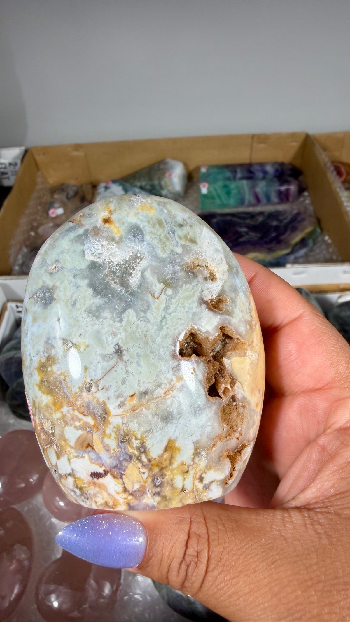 Gorgeous Ibis Jasper Freeform | Opt 29