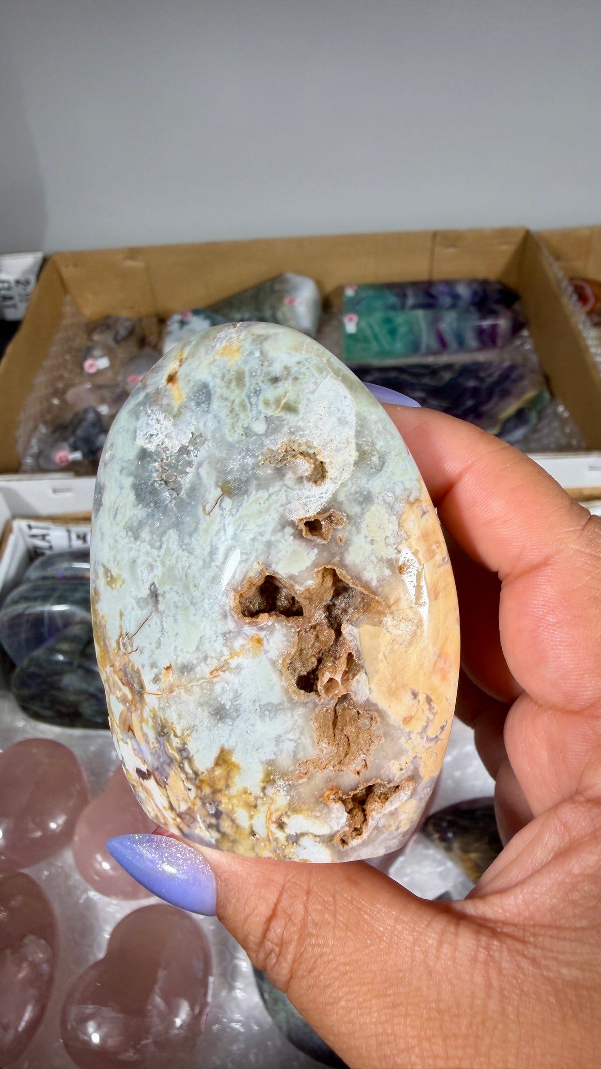 Gorgeous Ibis Jasper Freeform | Opt 29