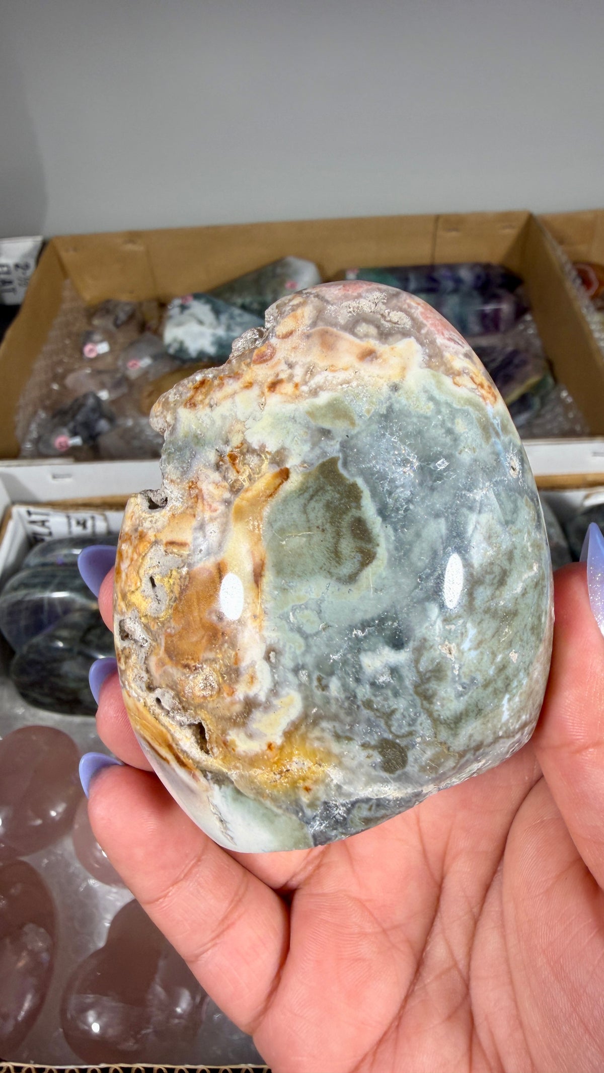 Gorgeous Ibis Jasper Freeform | Opt 30