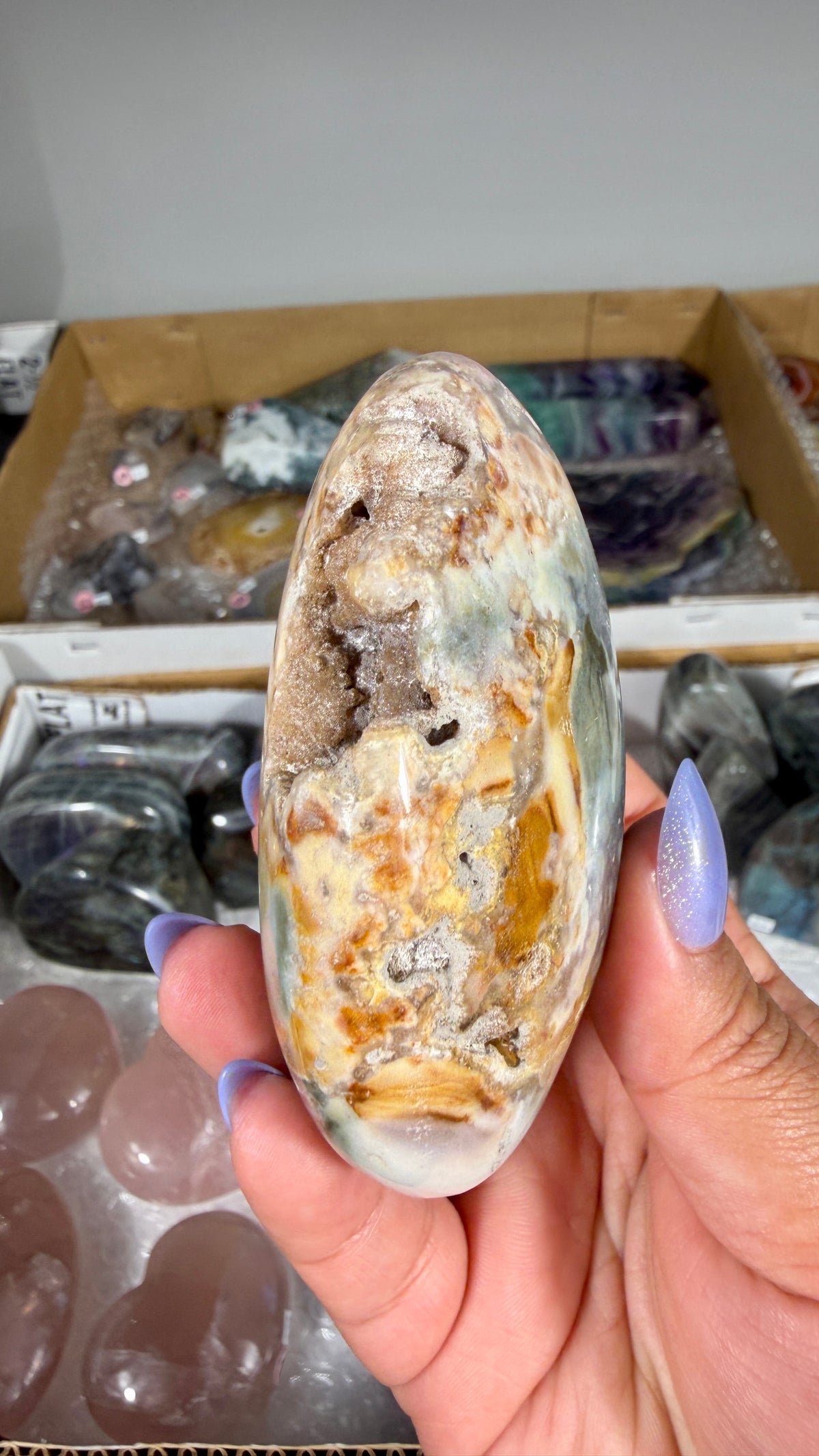 Gorgeous Ibis Jasper Freeform | Opt 30
