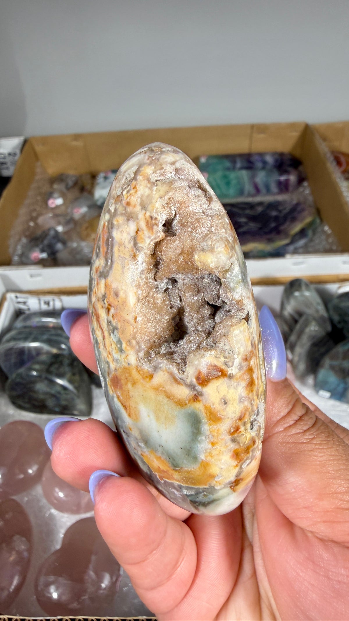 Gorgeous Ibis Jasper Freeform | Opt 30