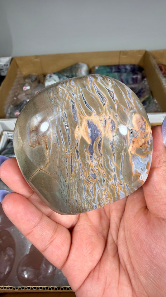 Gorgeous Ibis Jasper Freeform | Opt 28