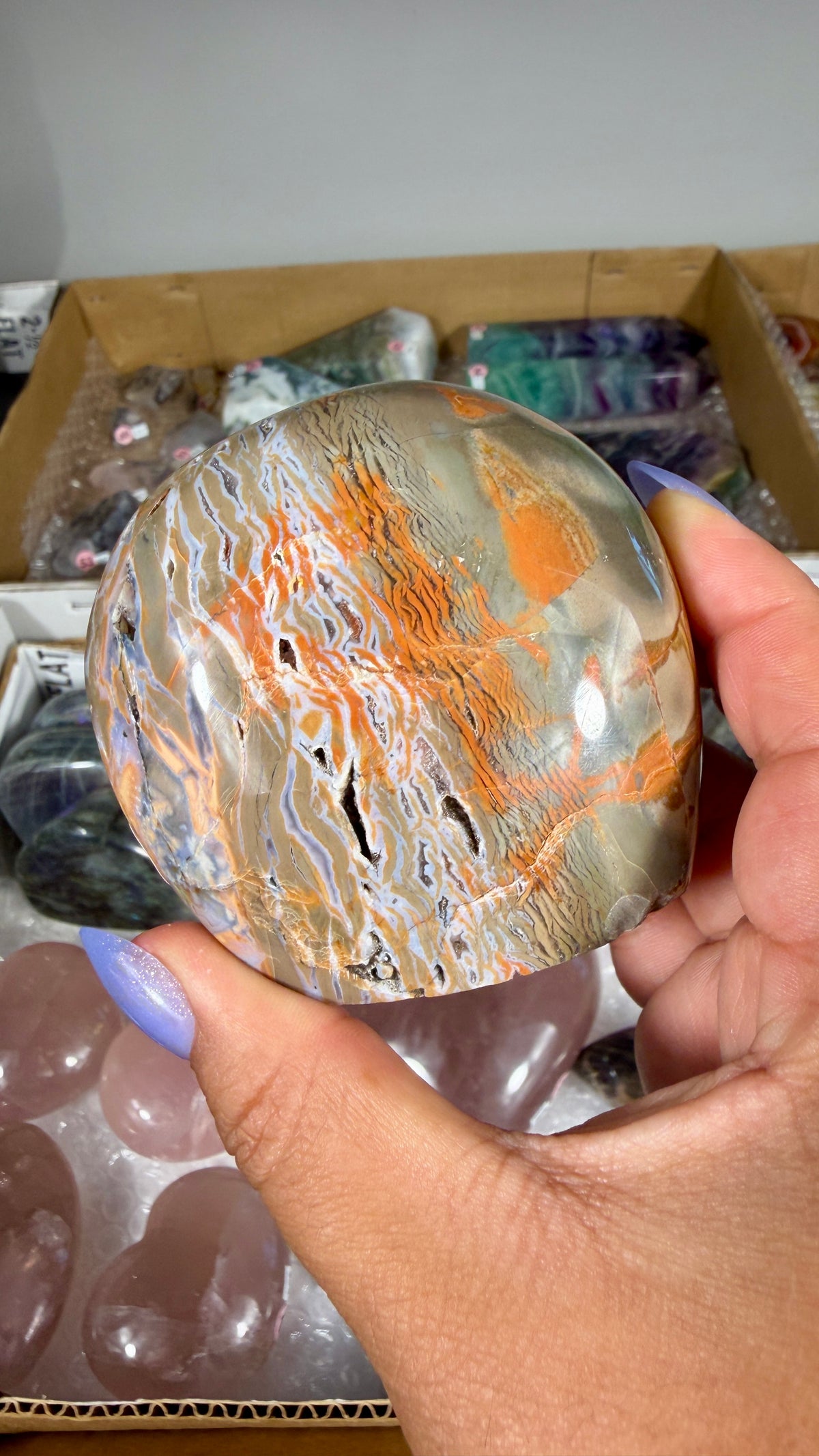 Gorgeous Ibis Jasper Freeform | Opt 28