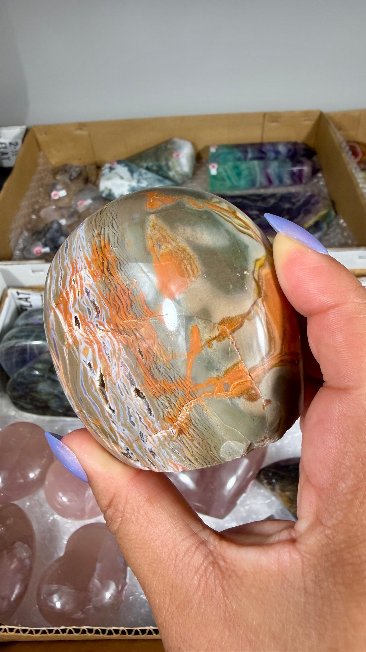 Gorgeous Ibis Jasper Freeform | Opt 28