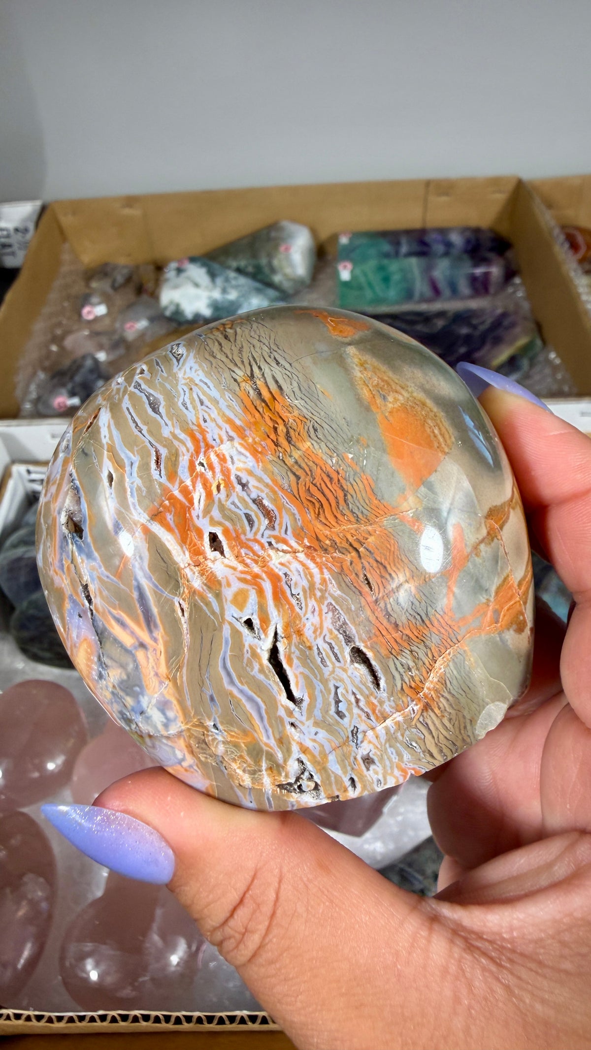 Gorgeous Ibis Jasper Freeform | Opt 28